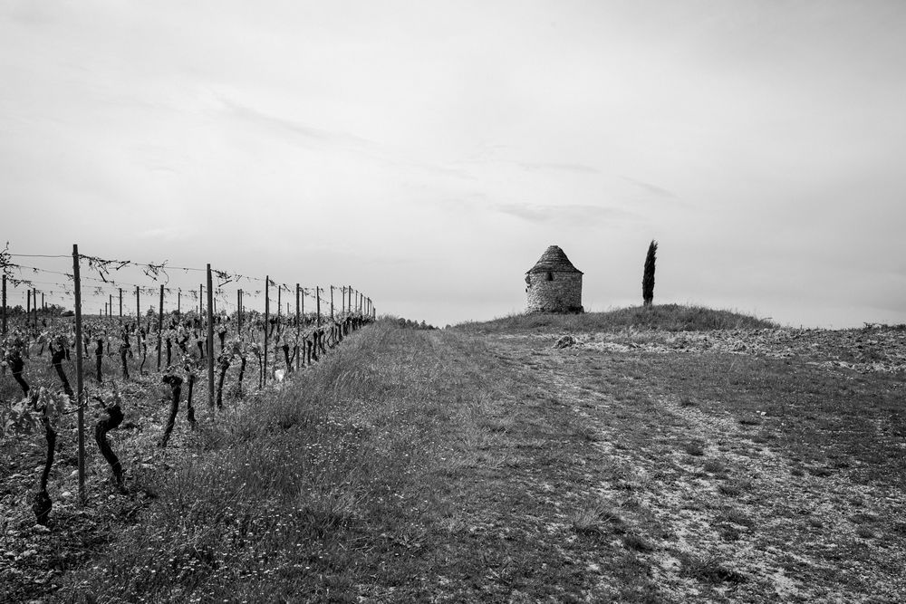 Sentinel